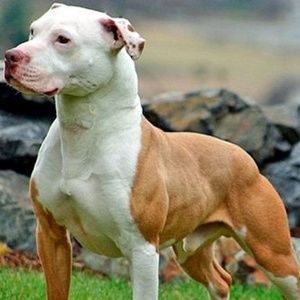 Meet your Posher, Jermaine